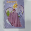 Export customized A5 coil Princess exercise book, glossy coil notebook Specification image